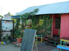 DSCN6517