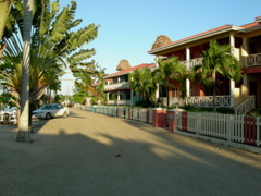 DSCN6526