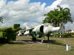 DSCN6590
