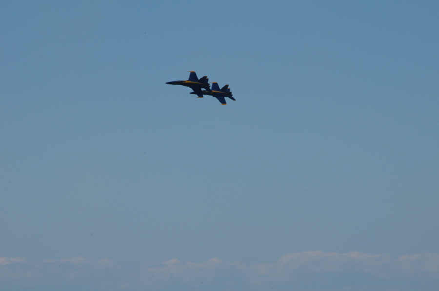 DSC_2521