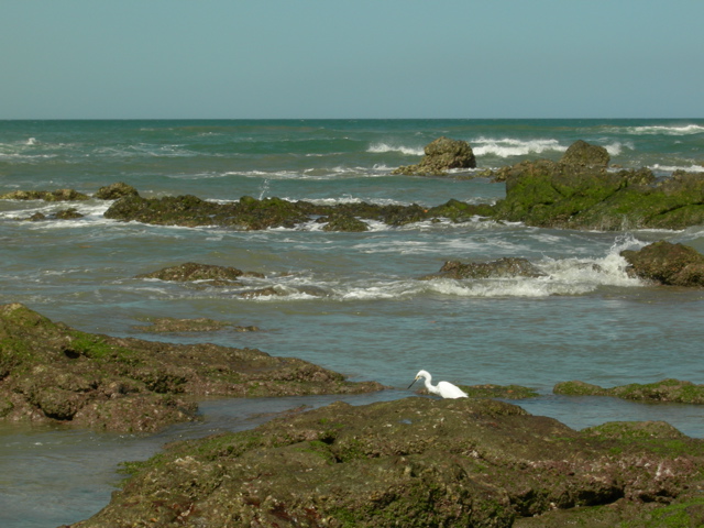 tidepool02