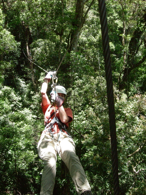 canopy06