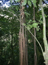 DSCN0258