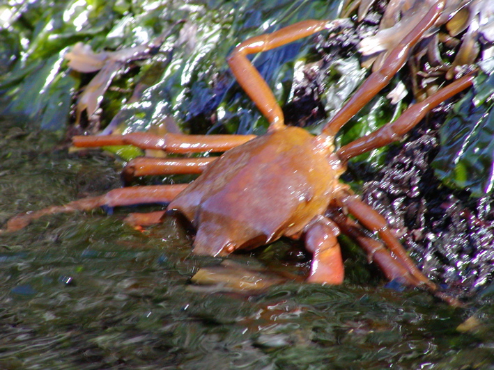 P1010042