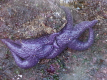 P1010029