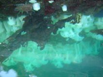 DSCN1393
