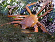 P1010042