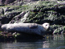 P1010058