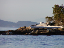 P1010004