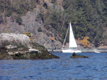 P1010048